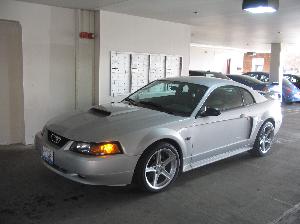 Mustang 3 015.jpg